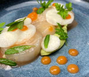 SCALLOP LAMINADO