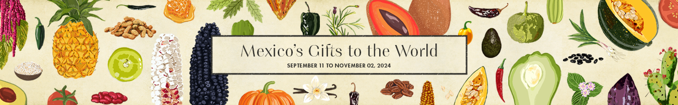 Mexico’s Gifts to the World