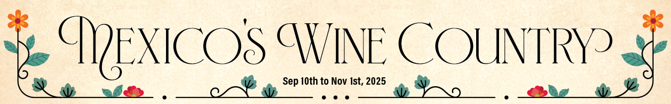 A Perfect Day in Mexico’s Wine Country