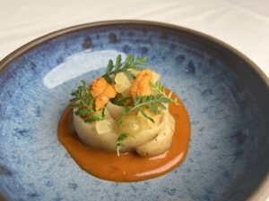 Callo de Hacha, Erizo, Manchamanteles