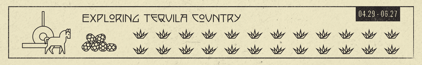 Exploring Tequila Country